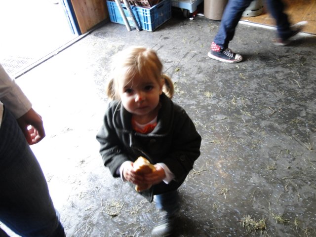 Koninginnedag 2010 127.jpg